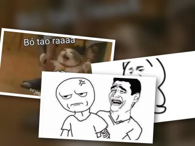 Top các kiểu meme đừng cản tao cực hài và ngầu