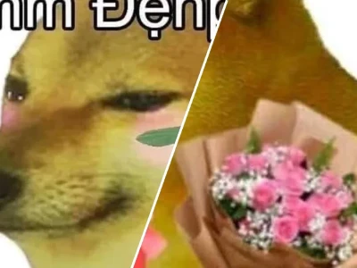 Top các meme em đẹp lắm hài hước nhất cho giới trẻ
