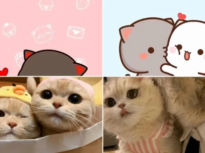 Tuyển tập hình nền cặp mèo cực cute cho dế yêu của bạn