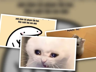 Tuyển tập meme dỗ người yêu hài hước giúp bạn làm lành