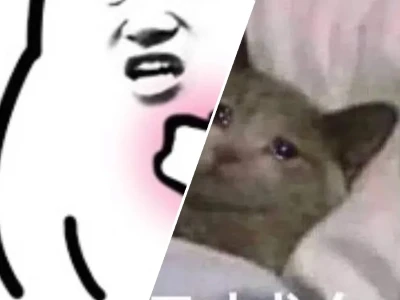 Tuyển tập những tổn thương meme cực hài hước đáng yêu